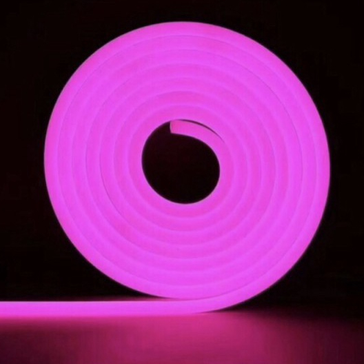 Lampu LED Neon Flex LED Strip Flexible 5 Meter DC 12V IP65 WATERPROOF