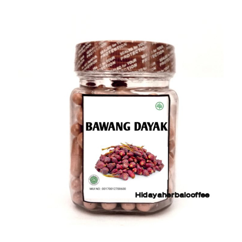 

Kapsul Bawang Dayak Murni 100pcs - Penurun Tekanan Darah Tinggi