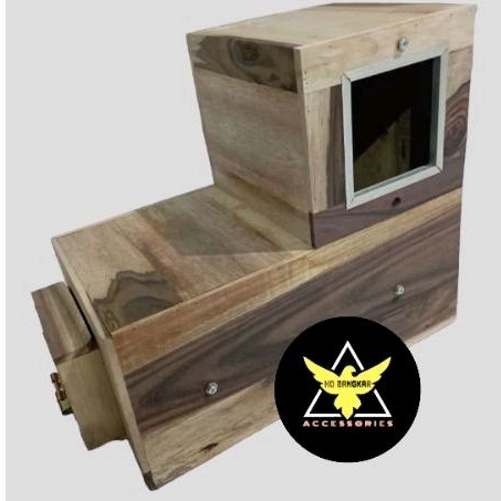 Glodok Sunconure Falk Nuri // Glodok L