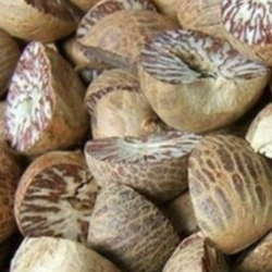 

TERBAIK HERBAL BIJI PINANG KERING 500 GRAM
