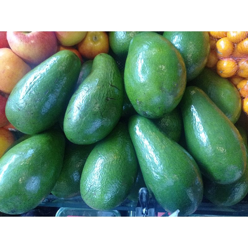 

Alpukat Pangeran Jumbo 1.5 kg