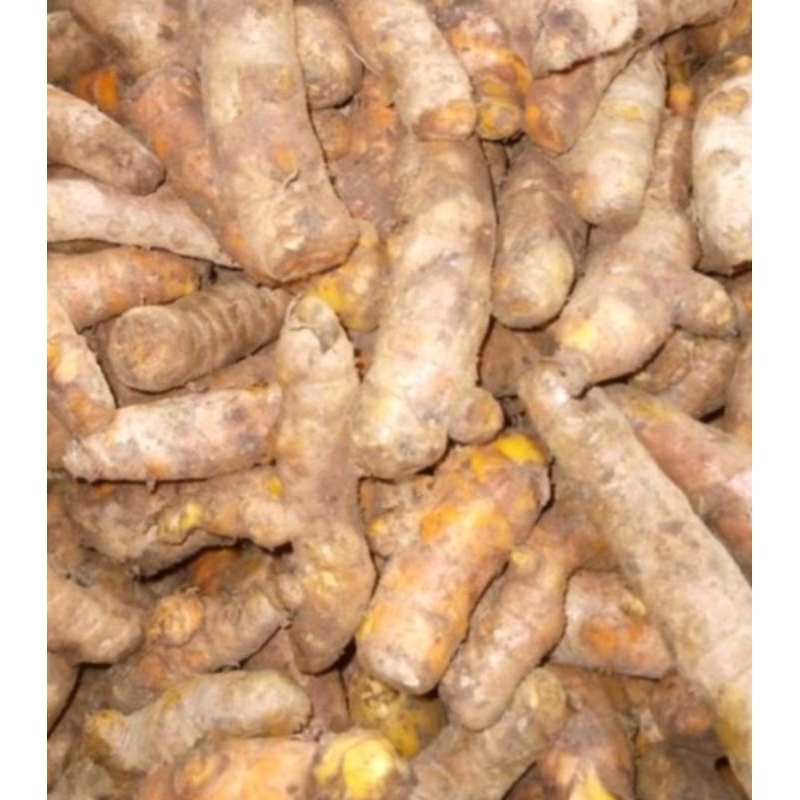 

kunyit 1kg / 1000 grm