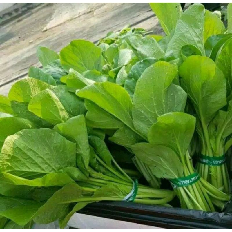 

Sawi Hijau / Sayur Sawi Manis Segar