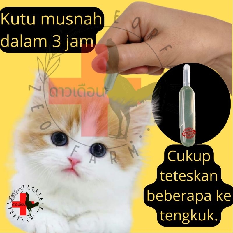 anti kutu tetes tengkuk kucing anjing ampuh zeorfarm