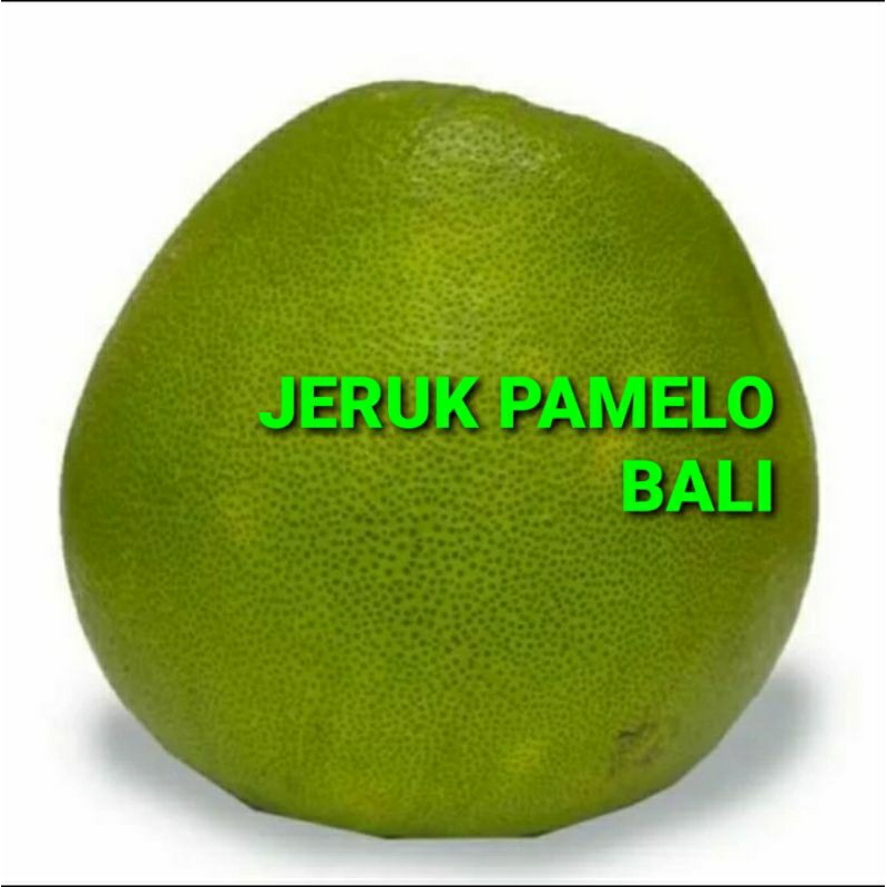 

JERUK PAMELO BALI KHUSUS PARA SULTAN 1 KG (PREMIUM QUALITY)