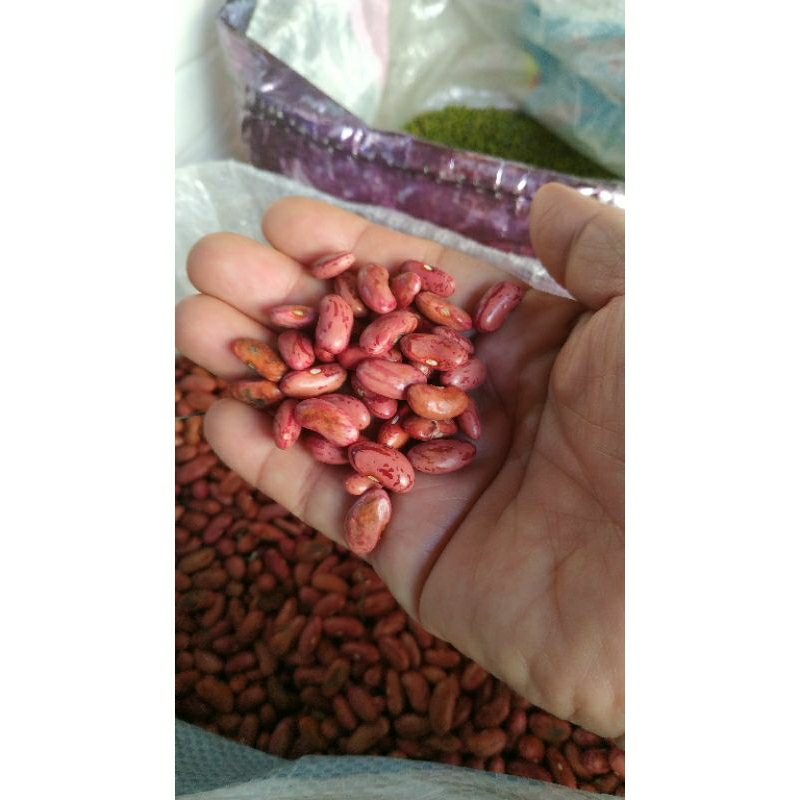 Kacang merah kering kacang rendang 1kg