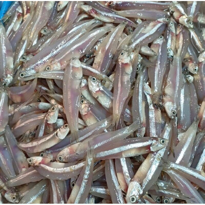 

Ikan Teri Fresh 250Gram