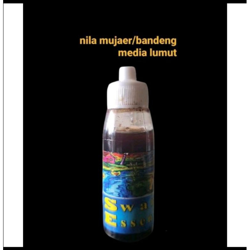 SPECIAL ESSEN IKAN NILA MUJAER  BANDENG KAN MAS MEDIA PELET LUMUT