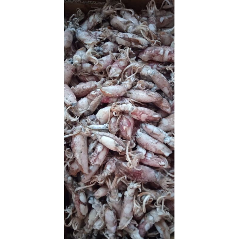 

ikan asin cumi rebus/sotong rebus size sedang berat 500gram