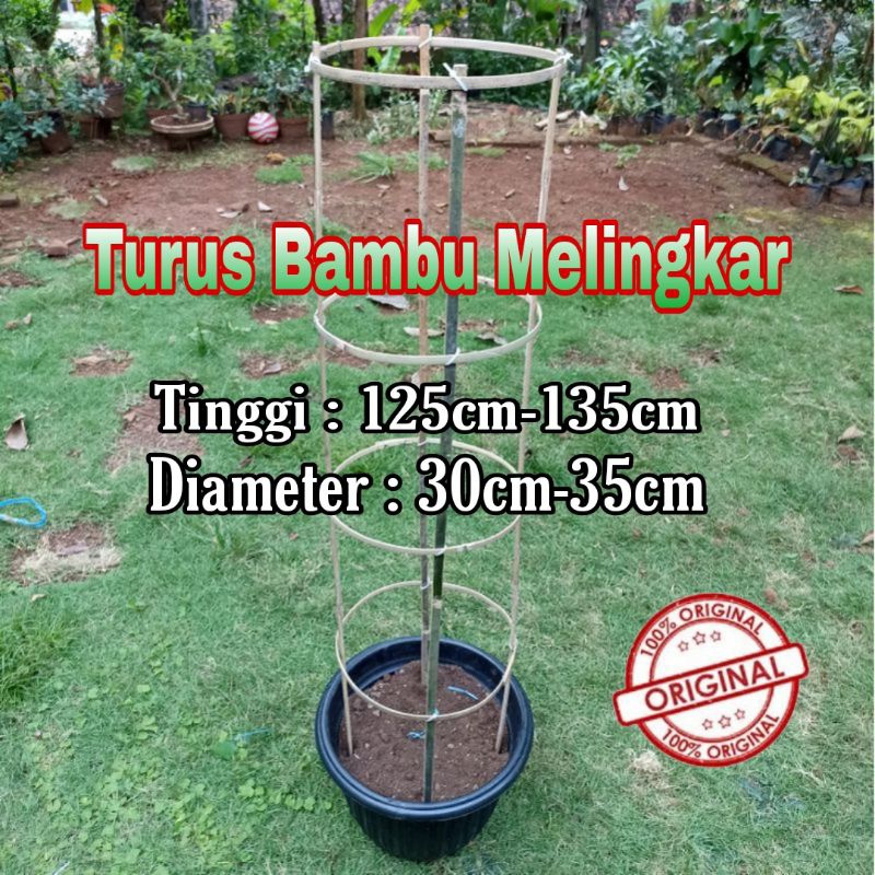 Turus Bambu Melingkar/Ajir Penyangga Tanaman/Rambatan Tanaman Ring Lingkaran Bambu