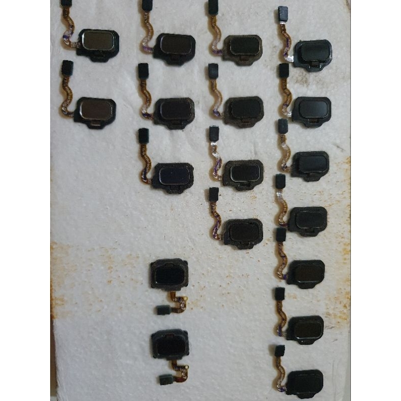 Fingerprint Samsung S8/S8 Plus Copotan Ori