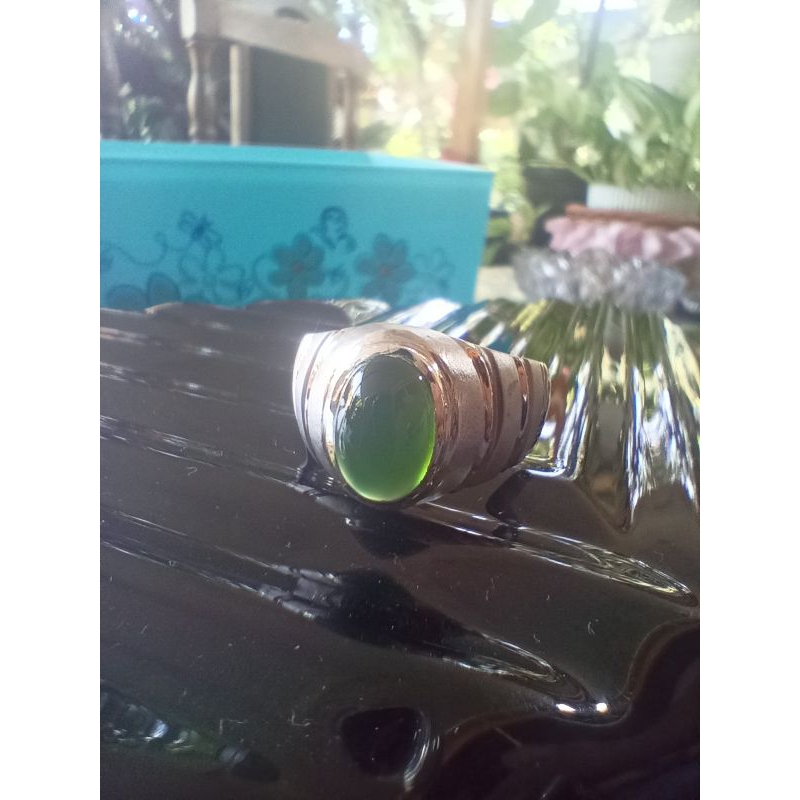 Bacan Doko Coklat Giwang
