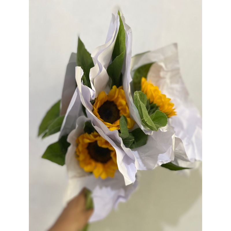 Matahari Semi import - Bunga potong