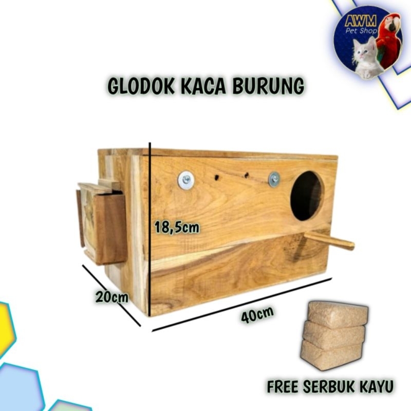 GLODOK KACA BURUNG FALK, NURI, SUNCONURE | SARANG BERTELUR BURUNG