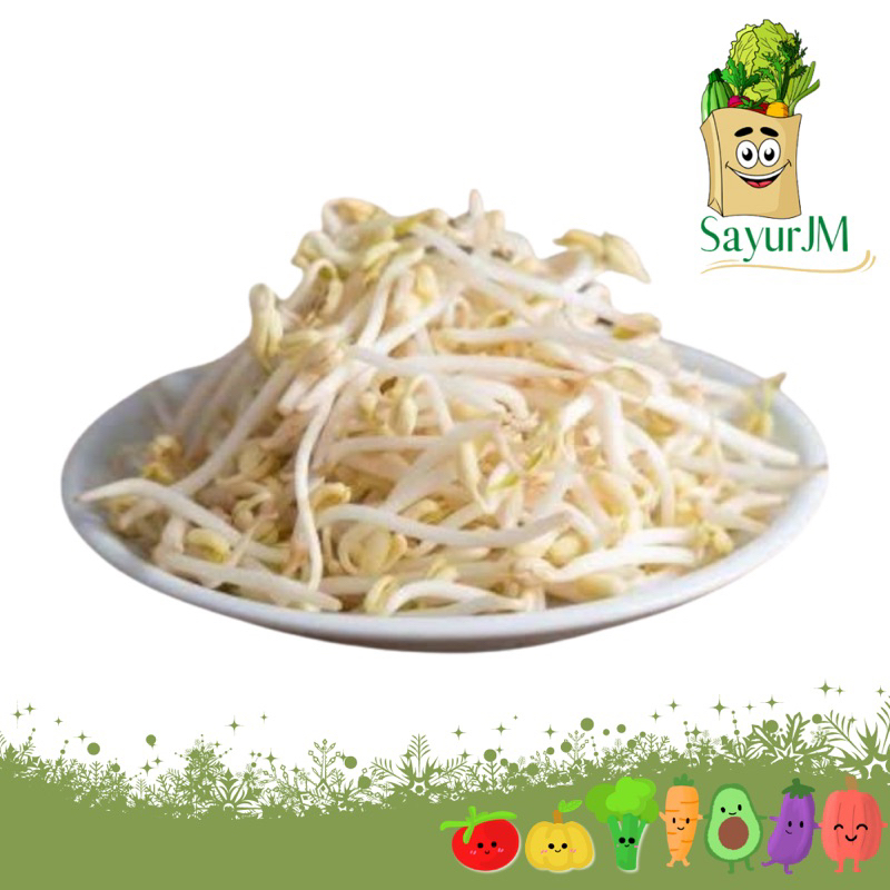 

SayurJM Toge Tauge / Sayur Segar / Sayuran Segar