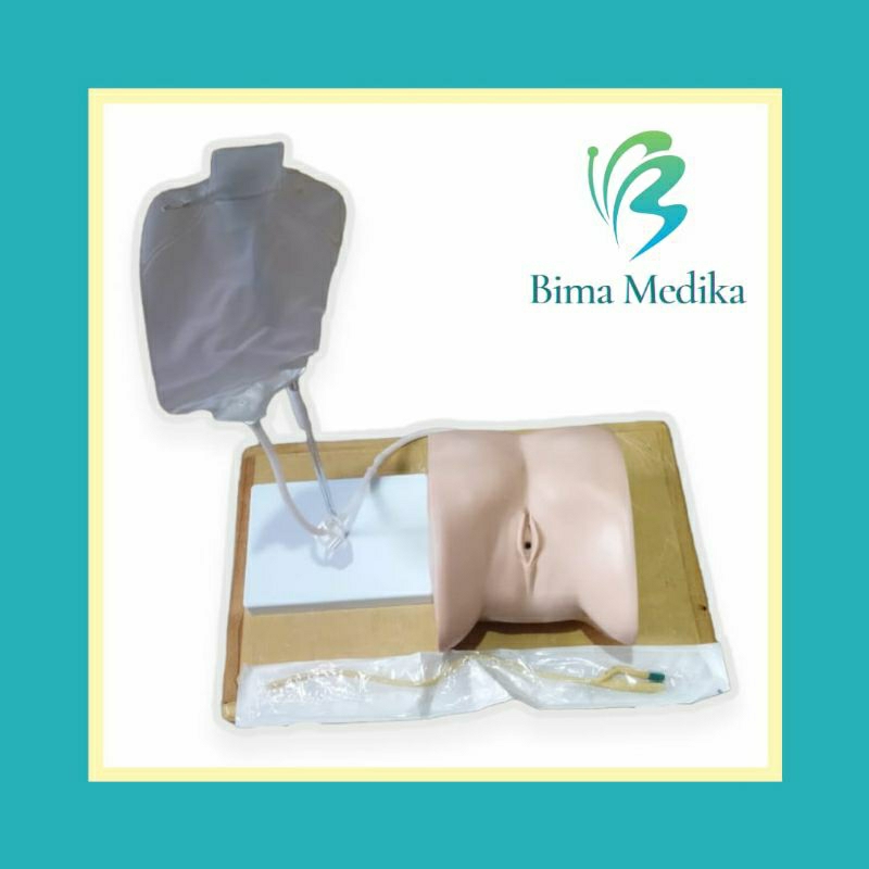 PHANTOM / MANIKIN PEMASANGAN KOMDOM CATETER WANITA /CATETER WANITA GUANLONG