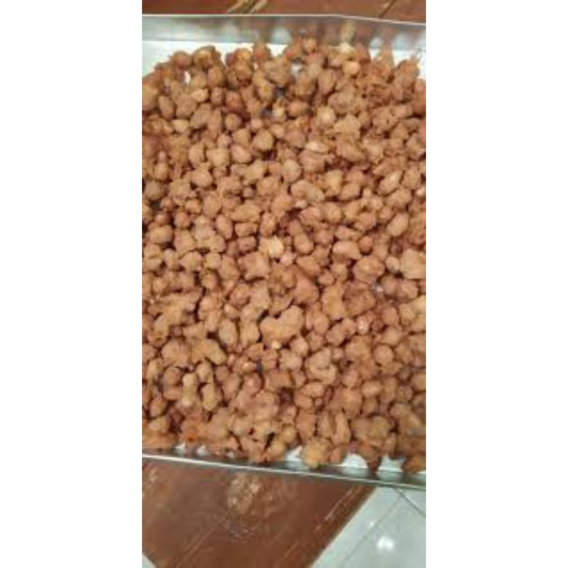 

kacang kribo
