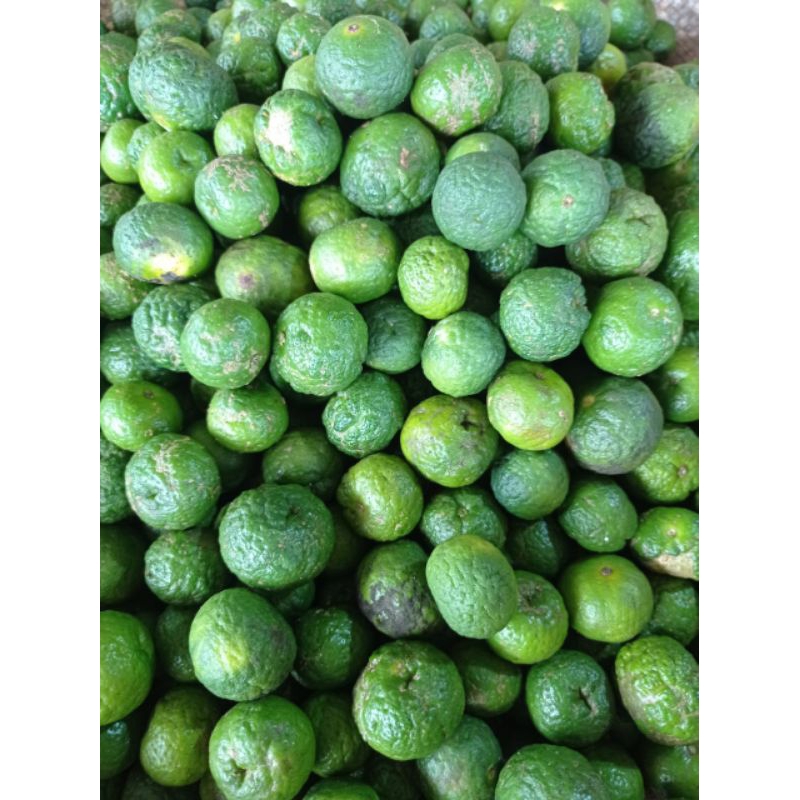 

jeruk limo per 1kg
