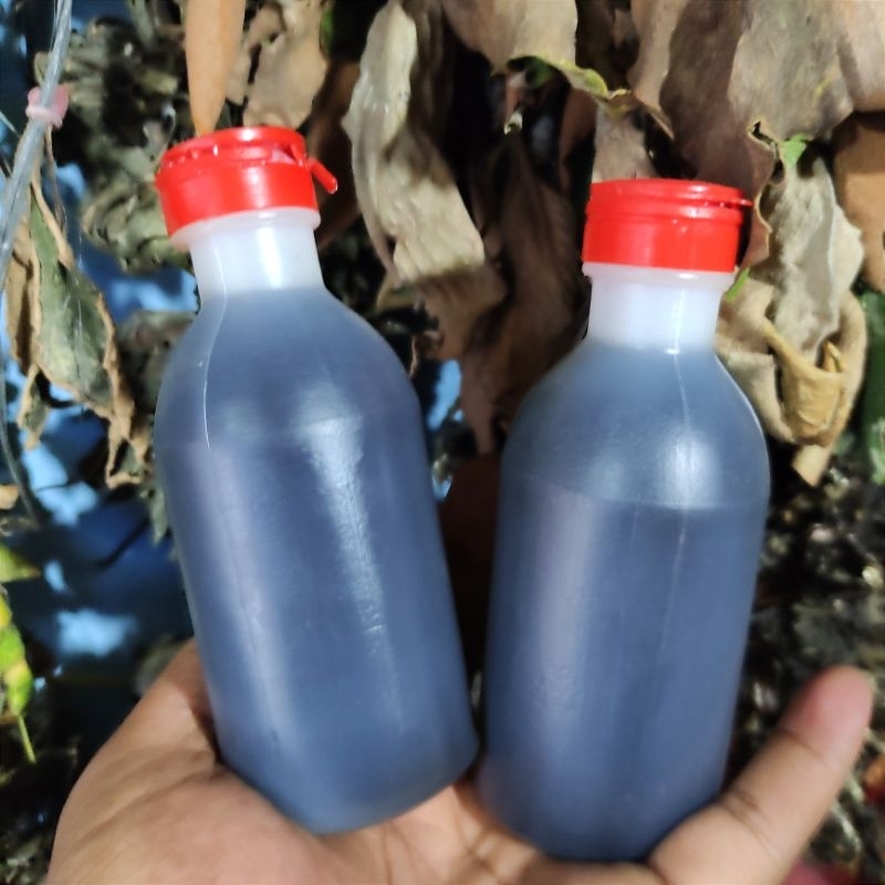 Minyak Karo Asli/Minyak Urut/Minyak Balur 200ml