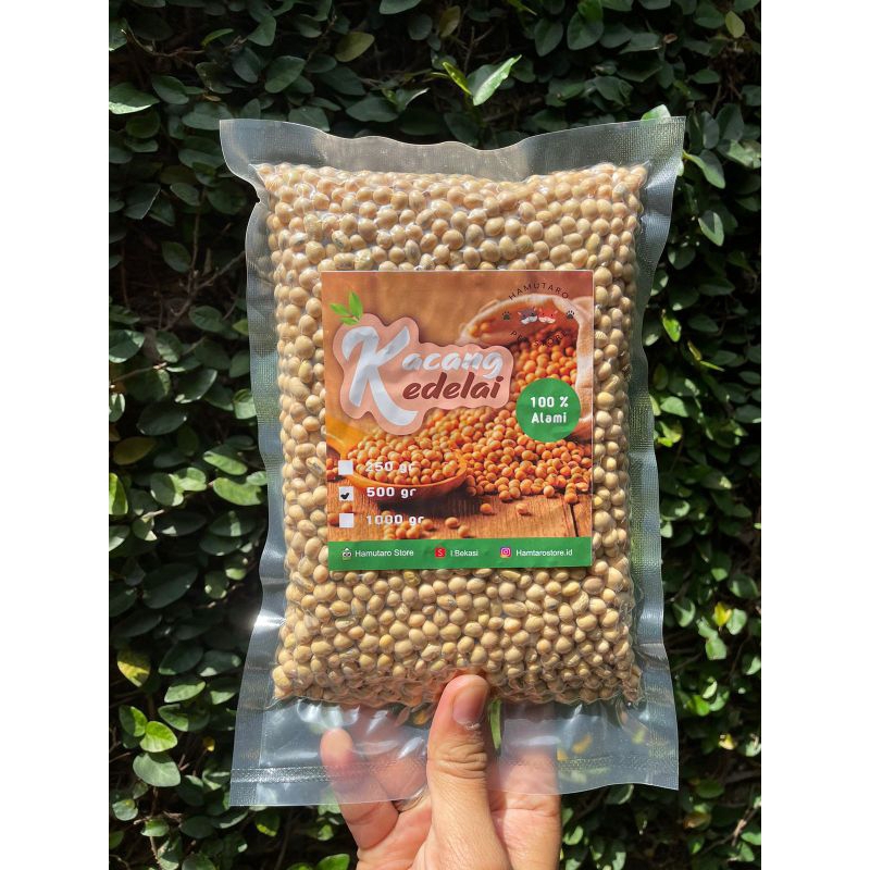 kacang kedelai pilihan berkualitas Grade premium 500 gram