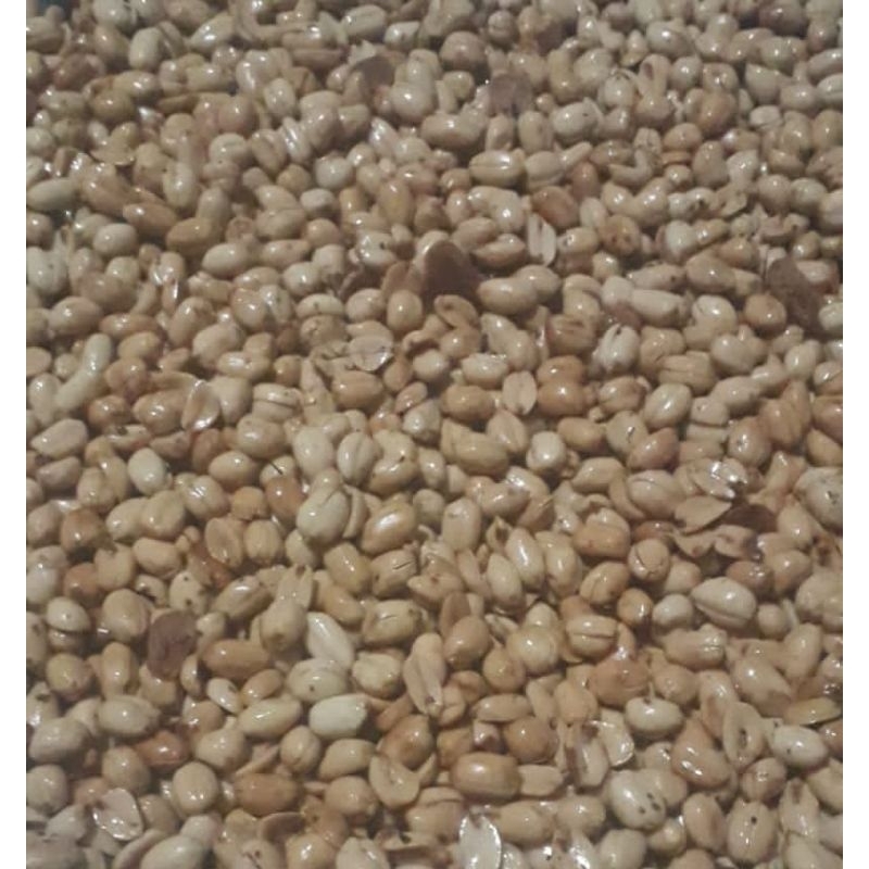 

Kacang Bawang / Kacang Goreng / Kacang Gawil 1 Kg