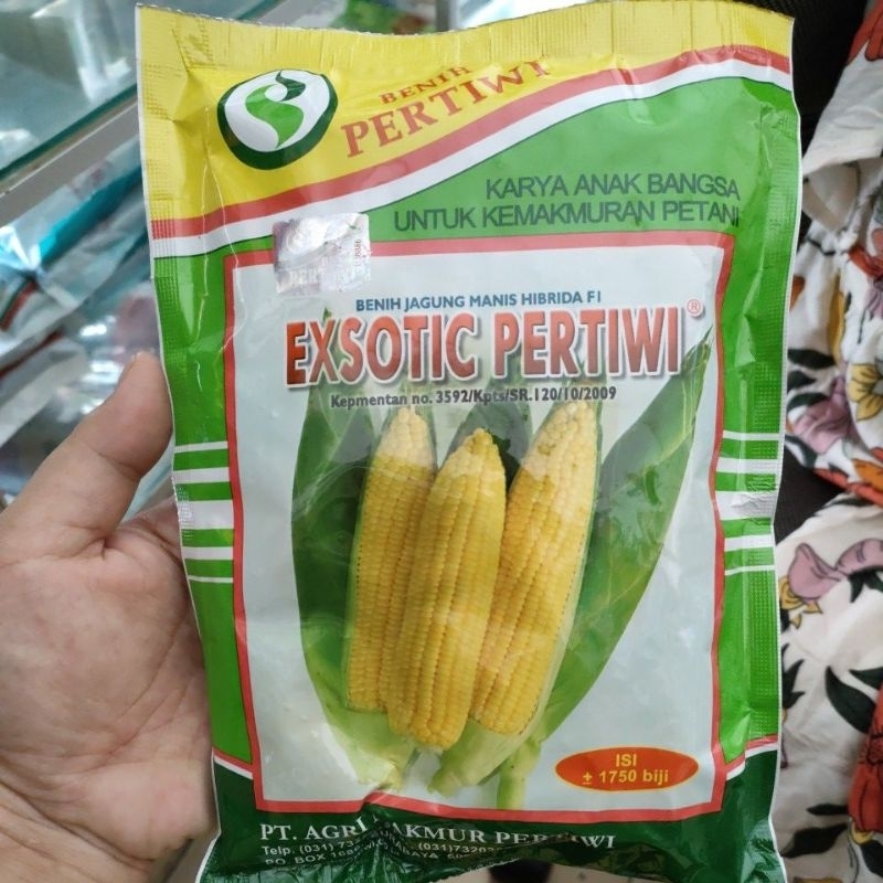 benih jagung manis exotic pertiwi