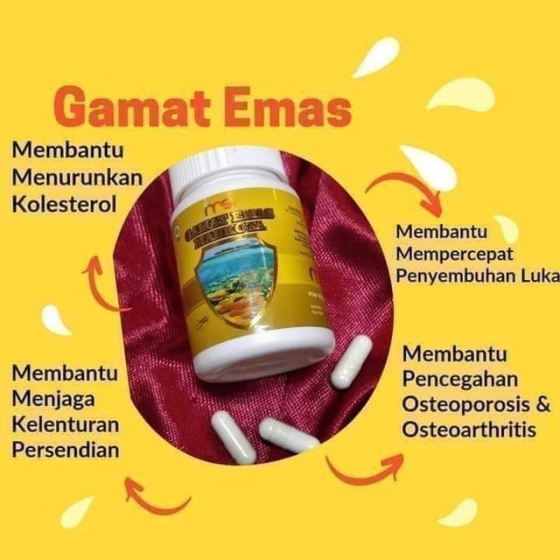 GAMAT EMAS MSI