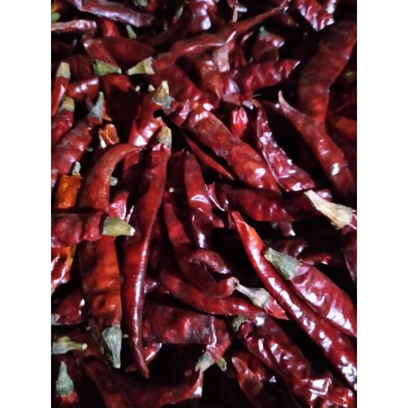 

Cabe kering kecil india tanpa tangkai 250gr/500gr/1kg.