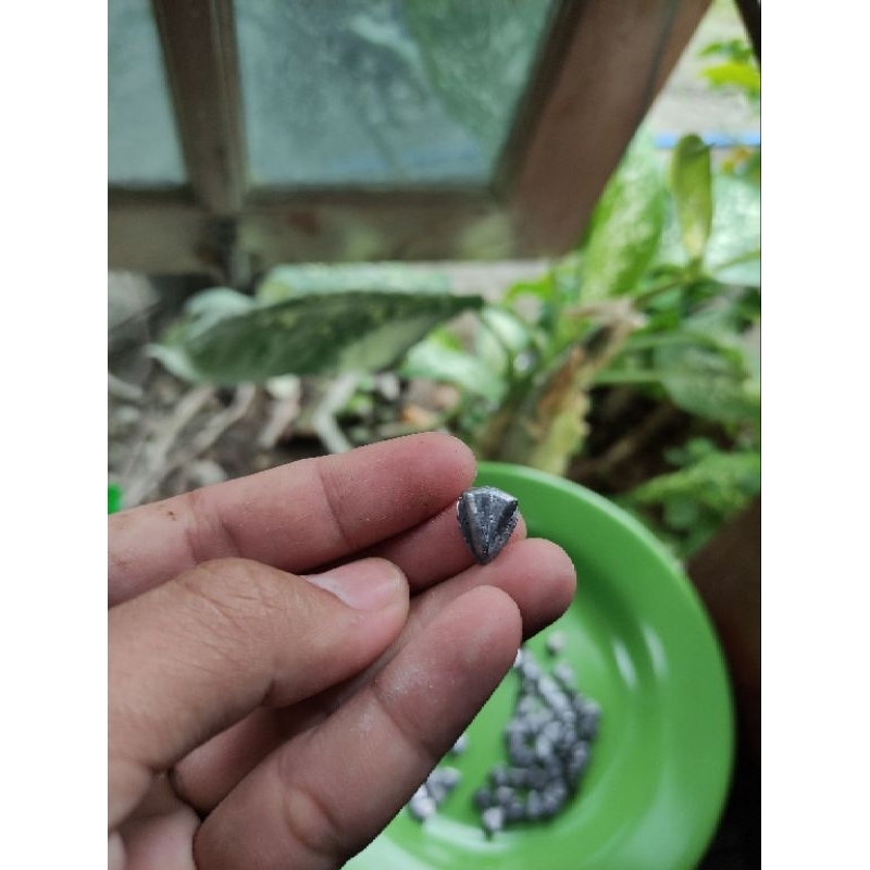 Timah pemberat body soft frog 3,2 gram