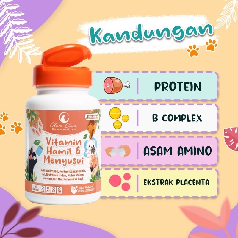 OLIVE CARE VITAMIN KUCING HAMIL &amp; MENYUSUI 10 KAPSUL