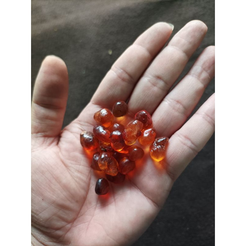 

10 G 50 GR 100 GRAM 桃胶 TAOJIAO TAO JIAO PEACH GUM KUALITAS PREMIUM PEACH RESIN