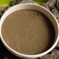 

MURAH DAUN CEREMAI BUBUK/PHYLLANTHUS ACIDUS 500 GRAM