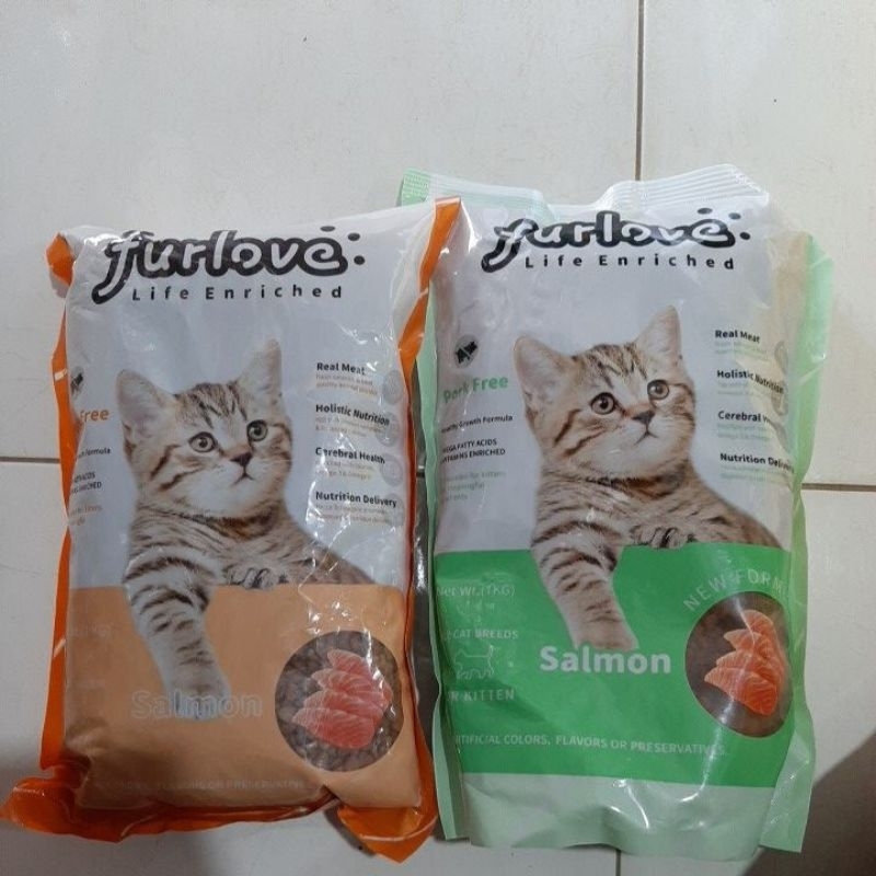 furlove kitten all variant