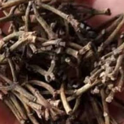 

TERBAIK JAMU BATANG CENGKEH 500 GRAM