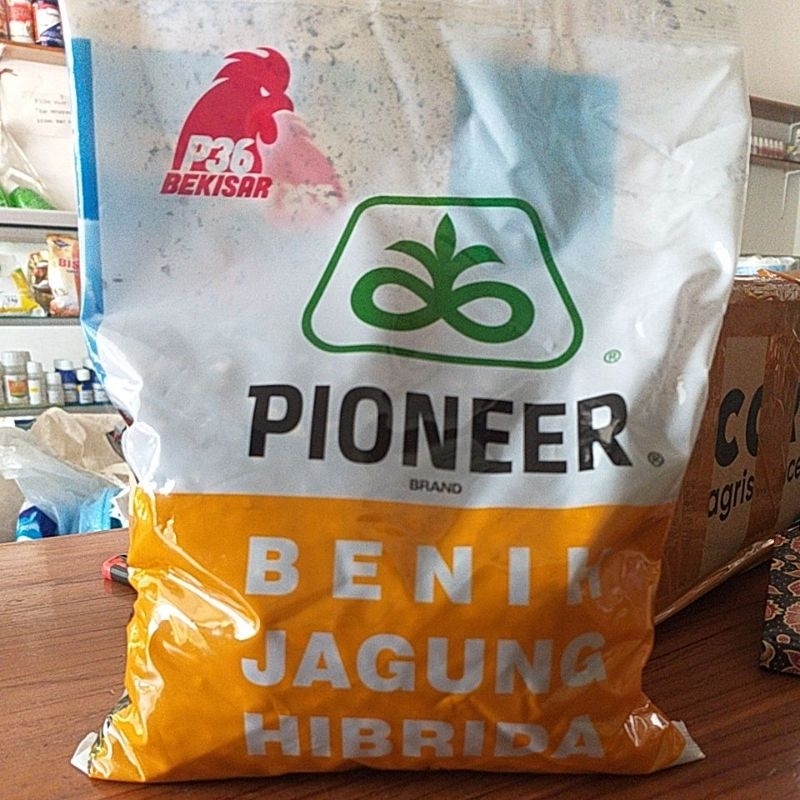 Jagung P36 Bekisar exp 17 juli 2023