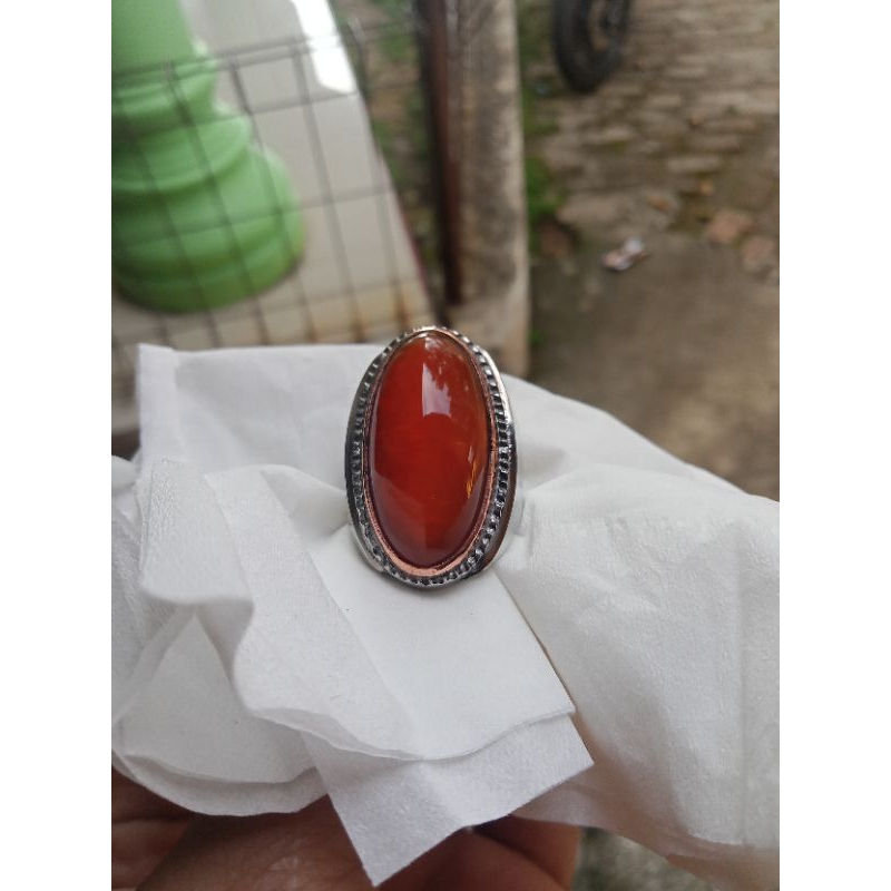 pandan merah sisik betik ring  7,5