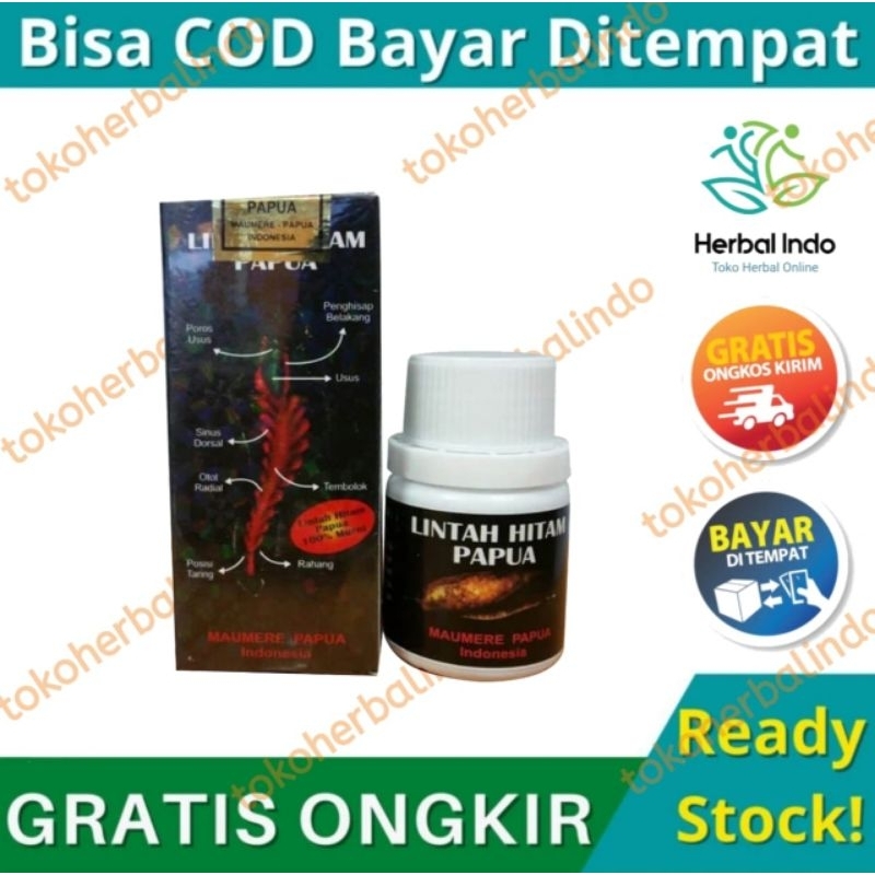 MINYAK LINTAH PAPUA ASLI 100% ORIGINAL PEMBESAR PENIS PRIA MINYAK LINTAH PAPUA ASLI 100% KUALITAS PR