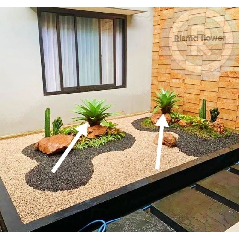 Tanaman hias pohon bromelia giant besar ( tanaman untuk taman minimalis cantik ) - pohon bromelia ca