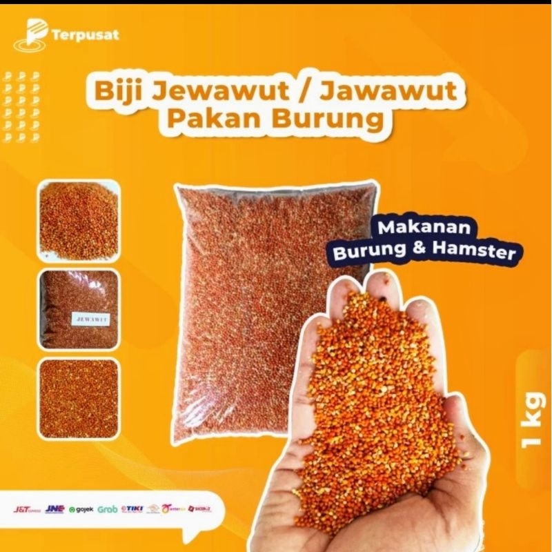 Jewawut Jawawut Per 1 kg Makanan Burung Pakan Burung / otek