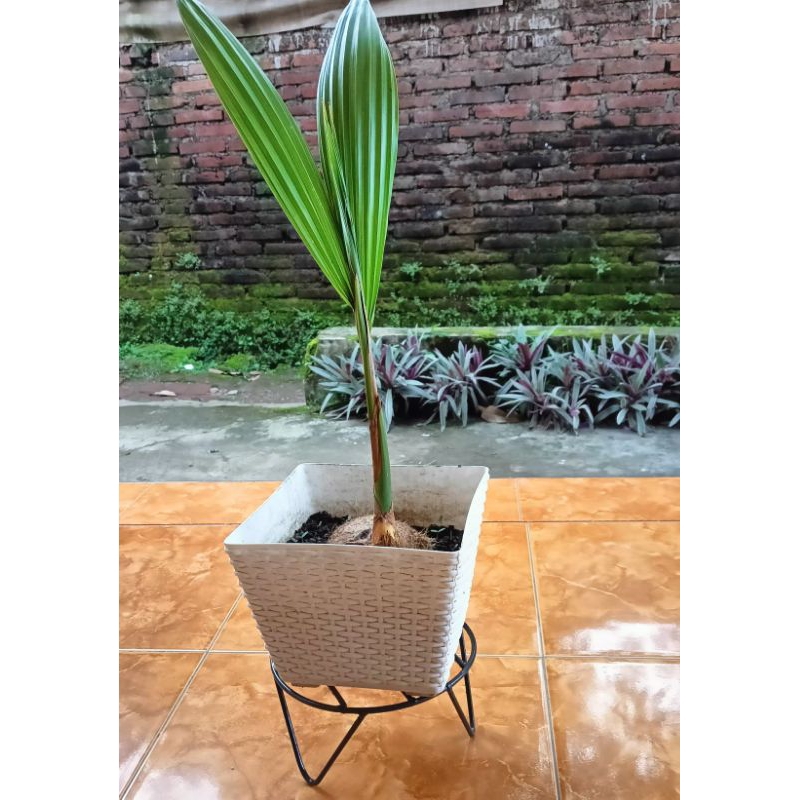 Rak pot besi,rak pot kembang, tempat pot/tempat bunga /dudukan bunga