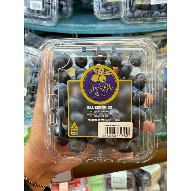 

Blueberry Australia Tasmania Premium | buah blueberries | Pack