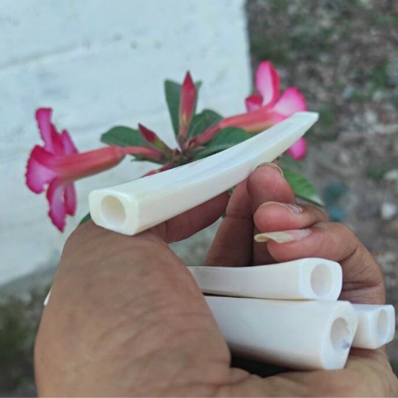 Once Pipa Pipo Tulang Sapi Putih Bersih