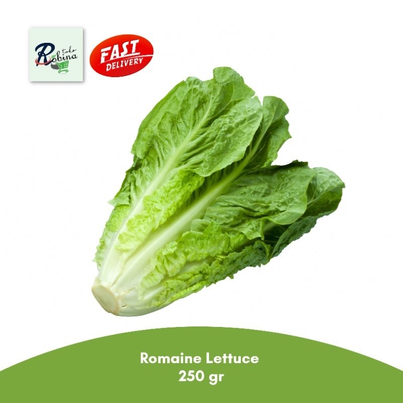 

Romaine Lettuce 250 gr