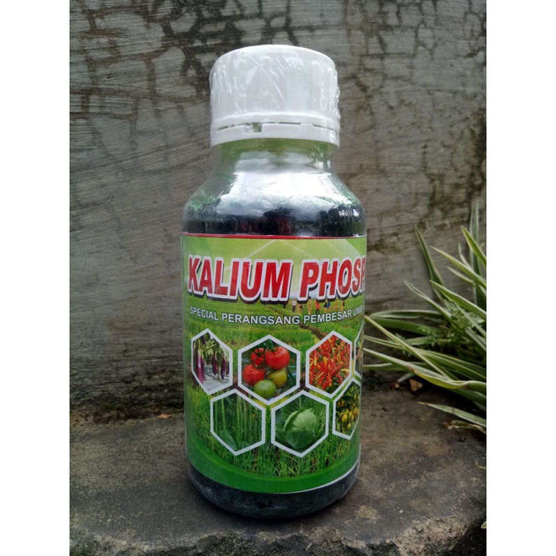 Kalium Phospat + Paclobutrazol 500ml Pupuk Pembesar Buah