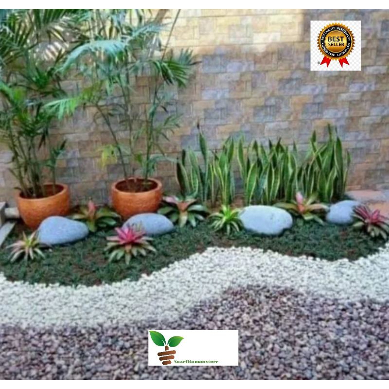 Taman kering / Jasa Pembuatan taman