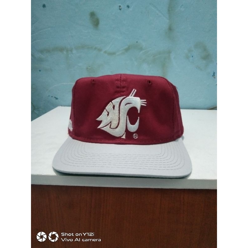 Blockhead WSU Cougras