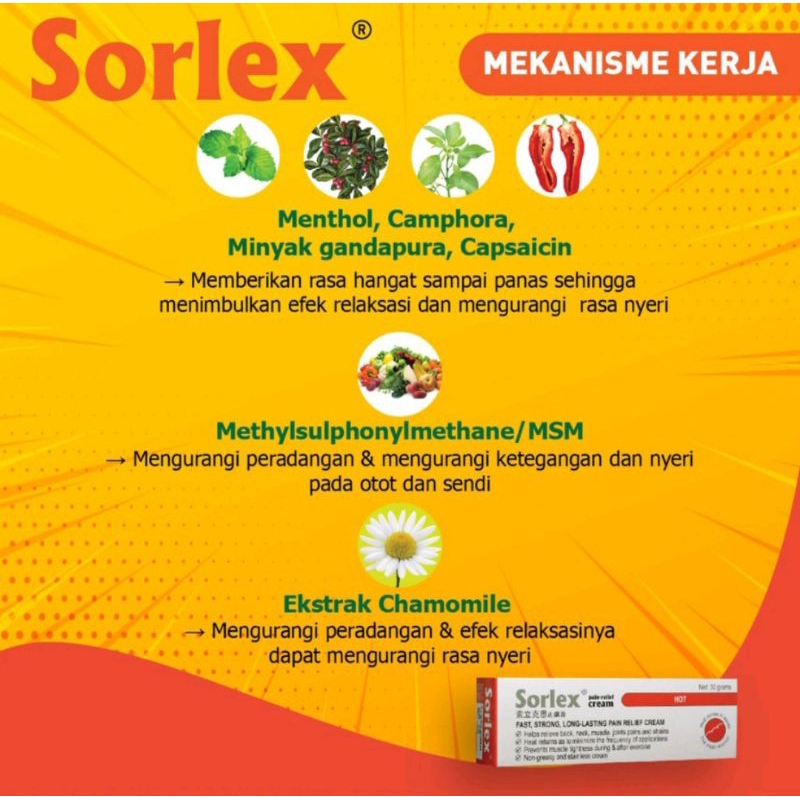 SORLEX 30 gr Krim nyeri Otot Panas Bergelombang