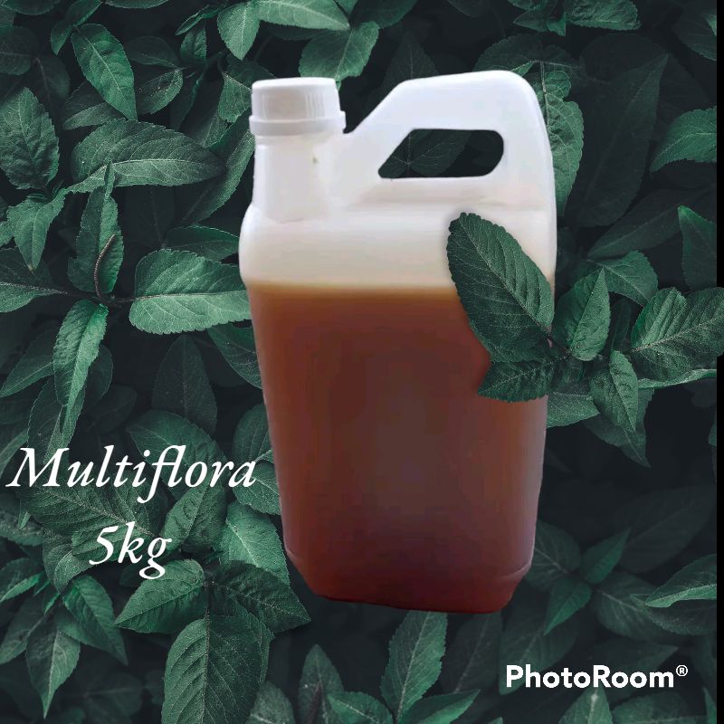 

Grosir Termurah Madu Murni 5 kg Multiflora 100%