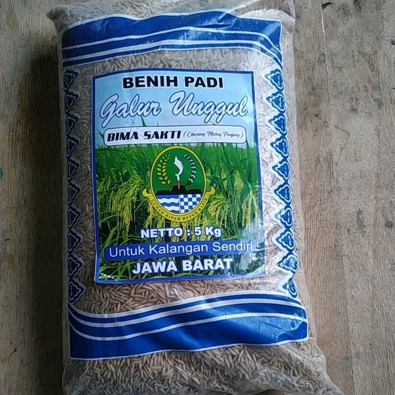 Benih Padi Bima Sakti Reapeck 1 kg