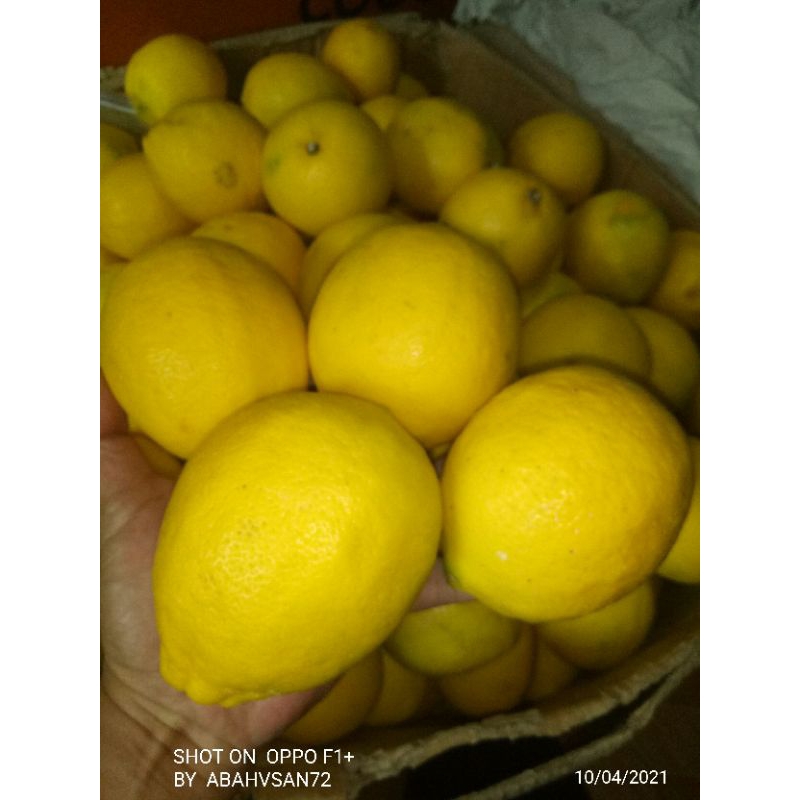 

Lemon California Lokal